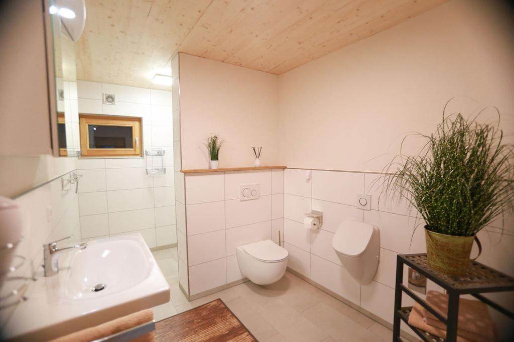 Daheim Im Geissetal Daire St. Blasien Dış mekan fotoğraf