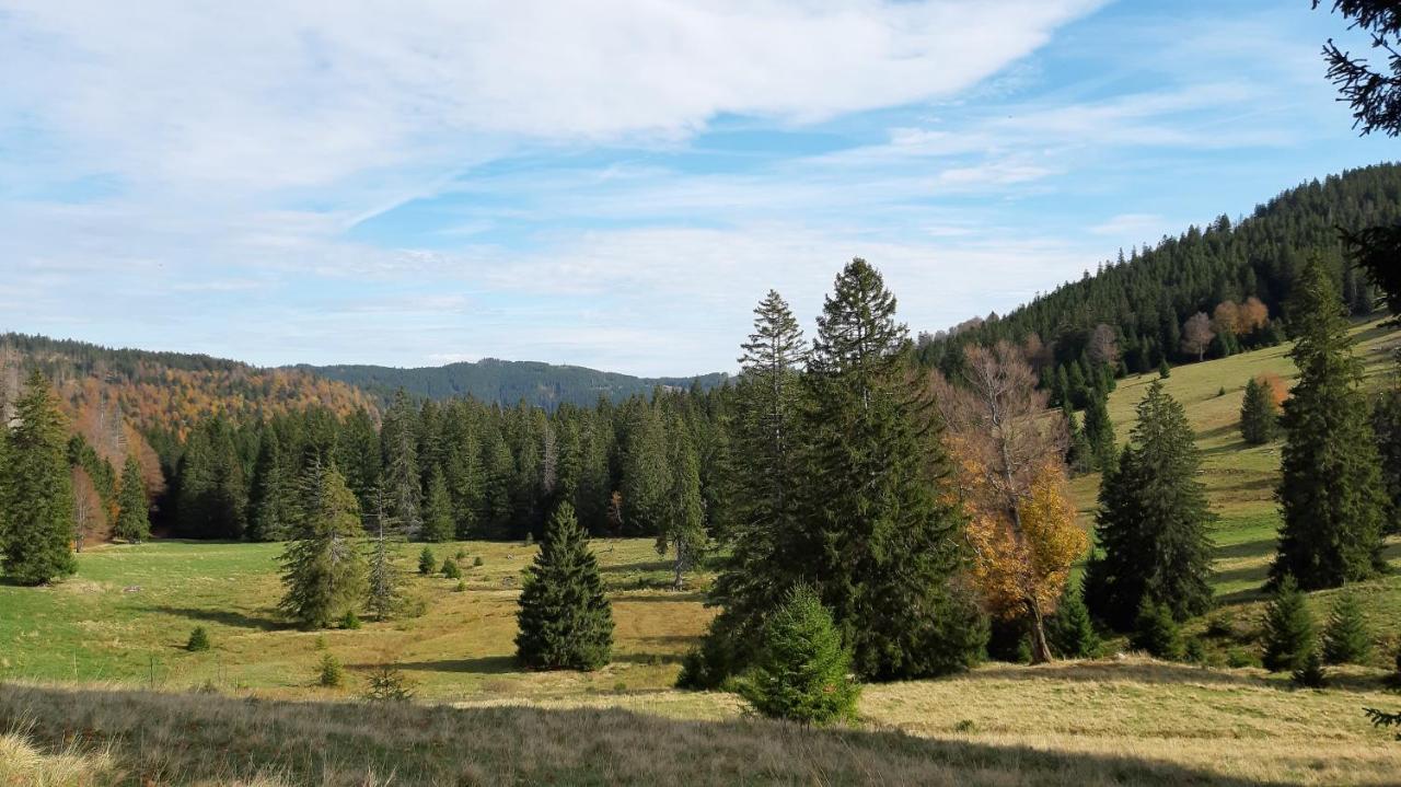 Daheim Im Geissetal Daire St. Blasien Dış mekan fotoğraf